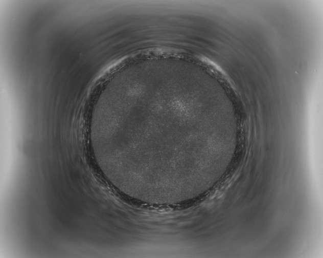 X0000085780919200703161202