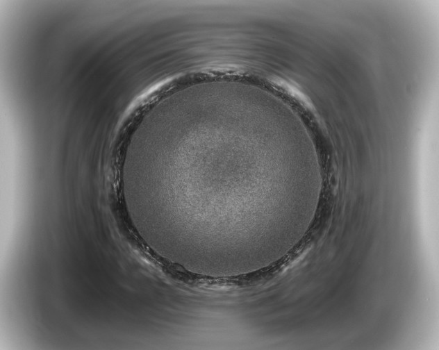 X0000085780920200703161202