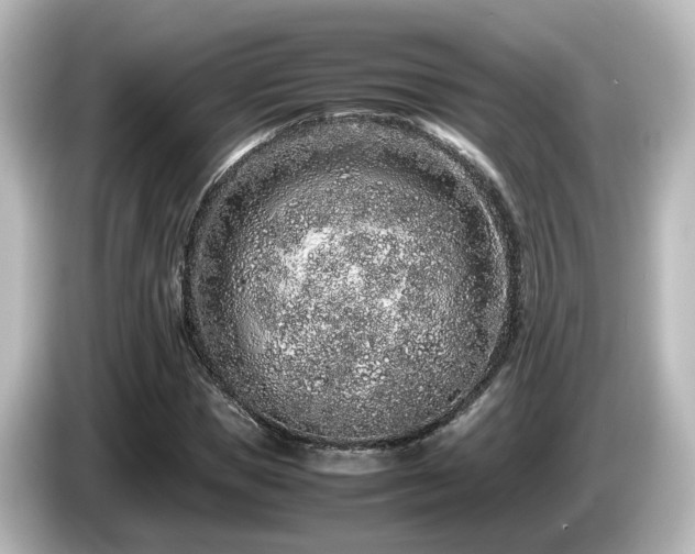 X0000085780921200703161202