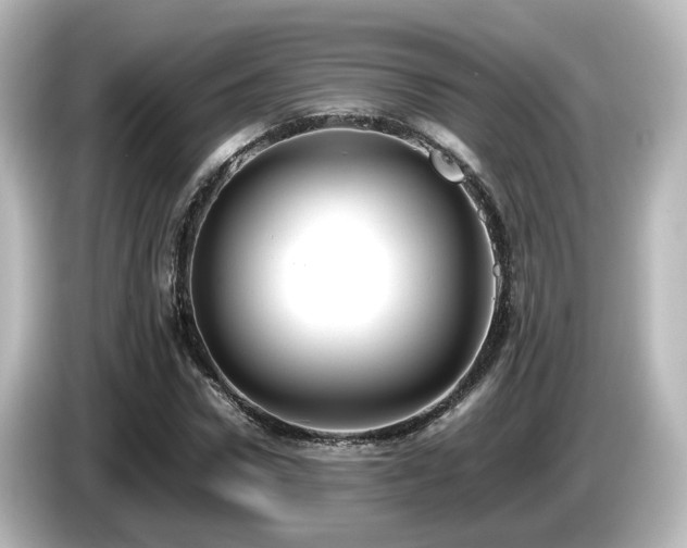 X0000085780922200703161202