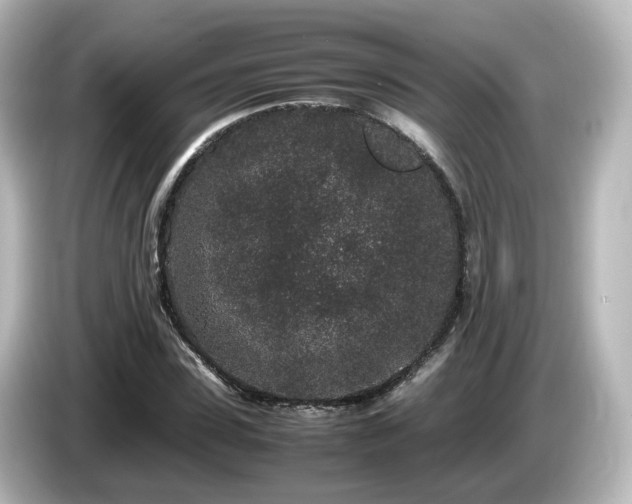 X0000085780923200703161202