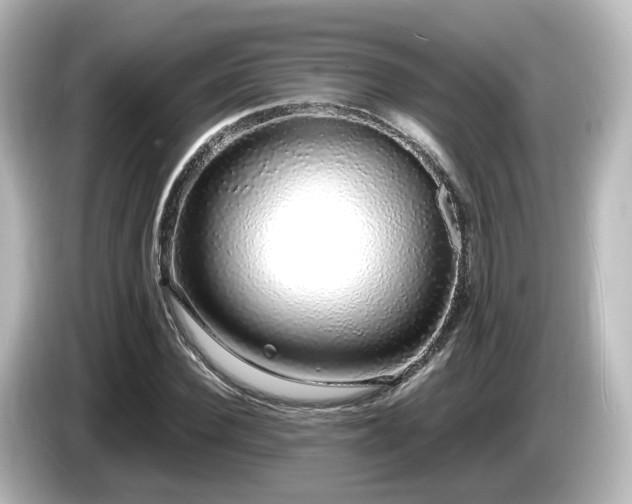 X0000085780924200703161202