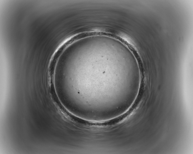 X0000085780925200703161202