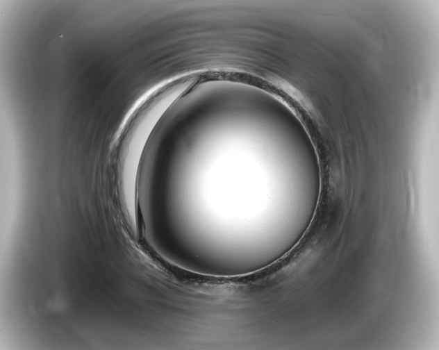 X0000085780926200703161202