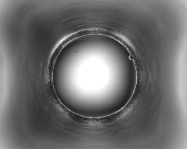 X0000085780927200703161202