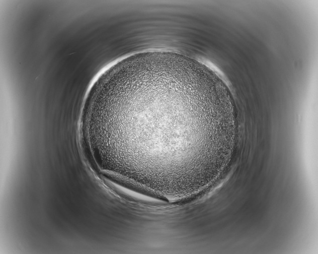 X0000085780928200703161202