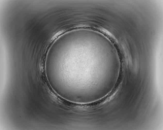 X0000085780929200703161202