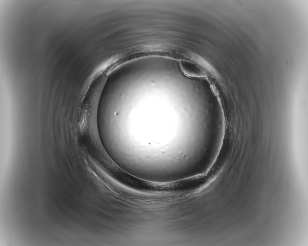 X0000085780930200703161202