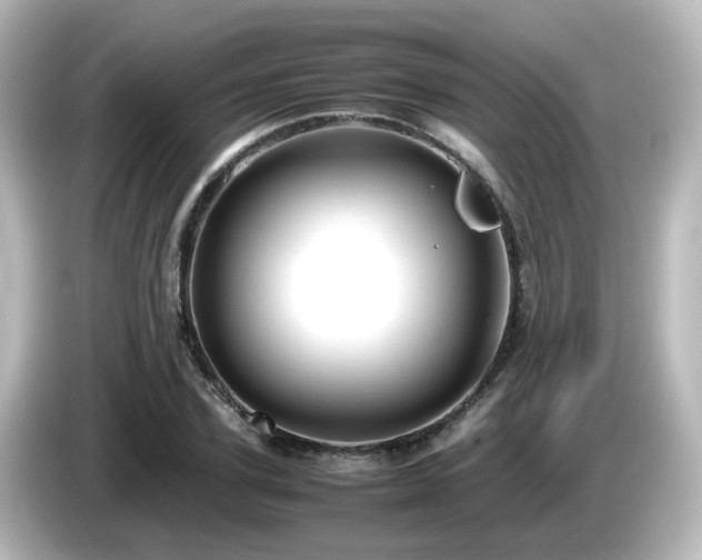 X0000085780931200703161202