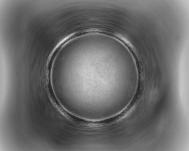 X0000085780933200703161202