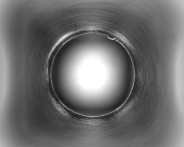 X0000085780934200703161202