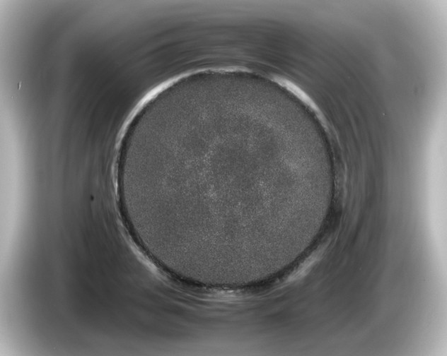 X0000085780935200703161202