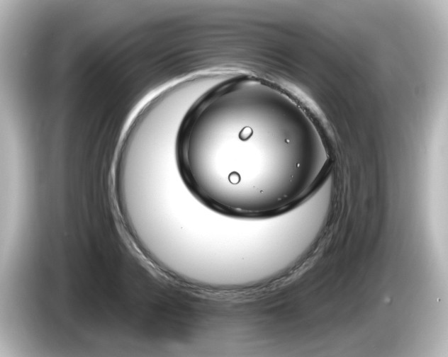 X0000085780936200703161202