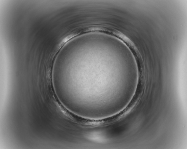 X0000085780937200703161202