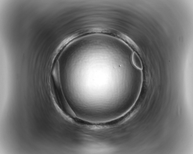 X0000085780938200703161203