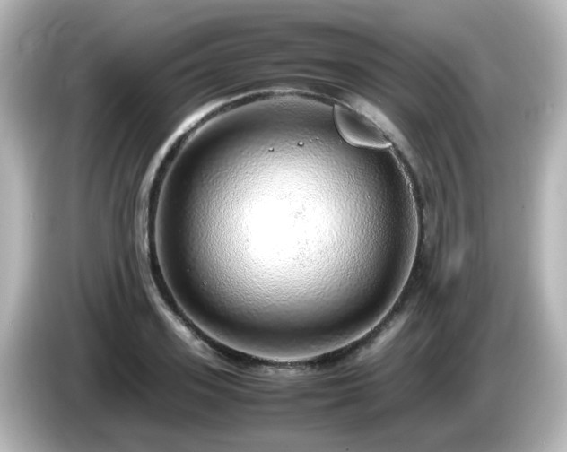 X0000085780939200703161203