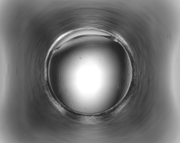 X0000085780940200703161203