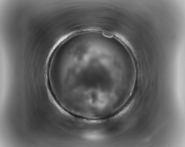 X0000085780941200703161203