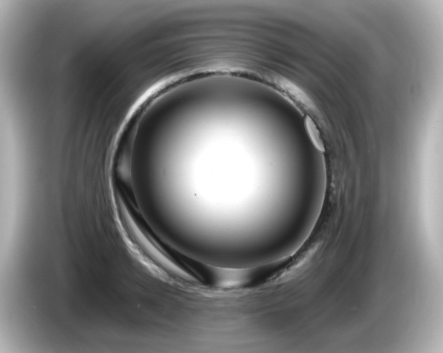 X0000085780942200703161203