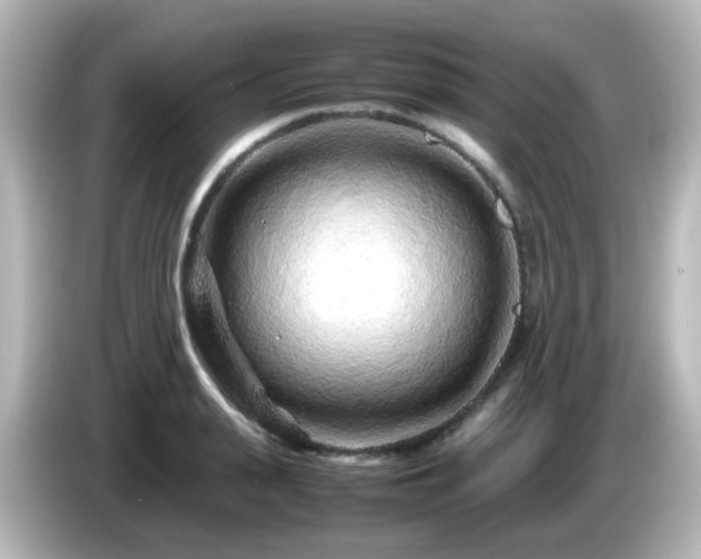 X0000085780943200703161203