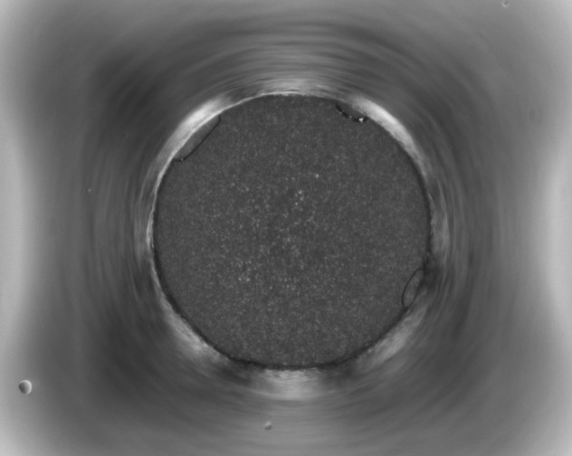 X0000085780946200703161203