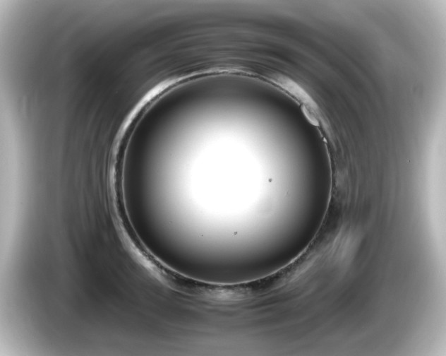 X0000085780947200703161203