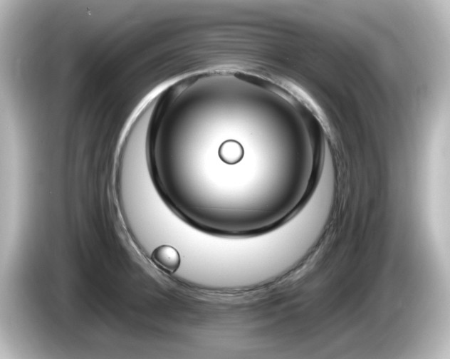 X0000085780948200703161203