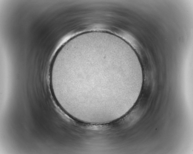 X0000085780950200703161203