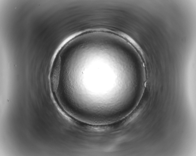 X0000085780951200703161203