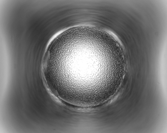 X0000085780952200703161203