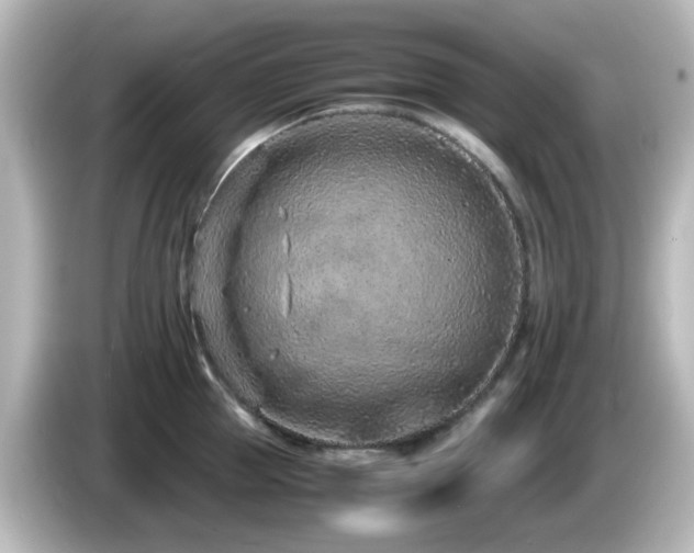 X0000085780953200703161203