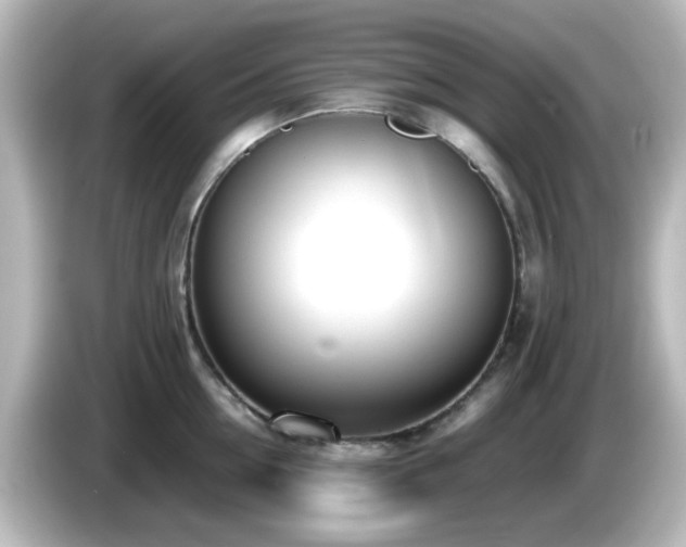 X0000085780954200703161203