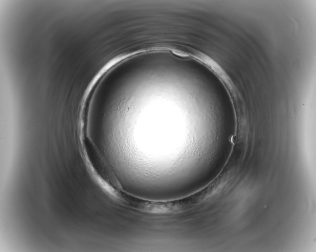 X0000085780955200703161203