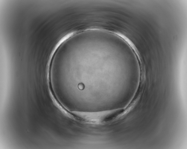 X0000085780957200703161203