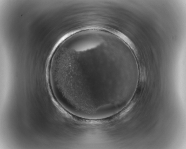 X0000085780958200703161203