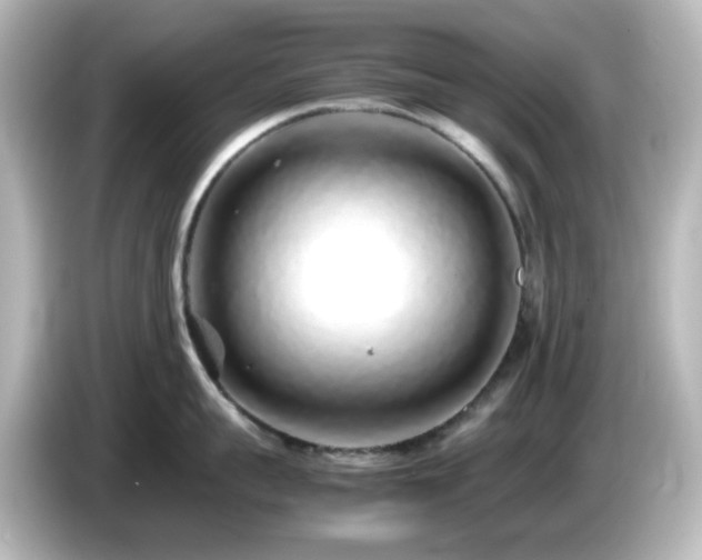 X0000085780959200703161203