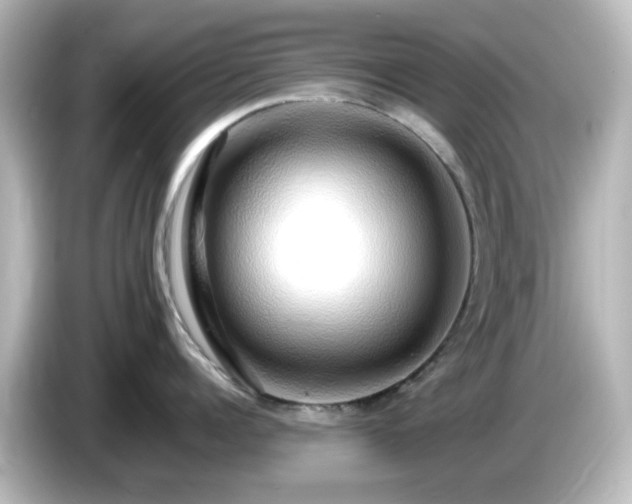 X0000085780960200703161203