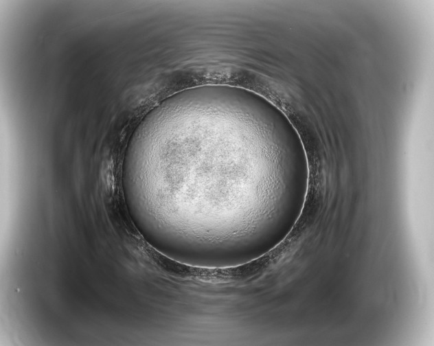 X0000085780962200703161202