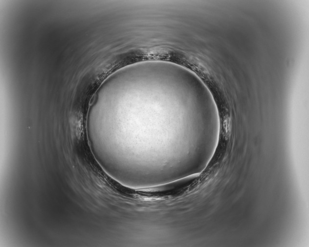 X0000085780963200703161202