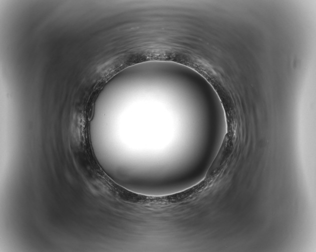 X0000085780964200703161202