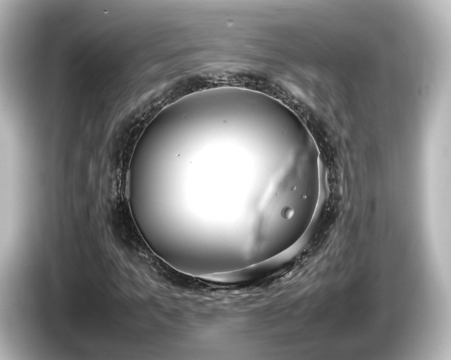 X0000085780965200703161202