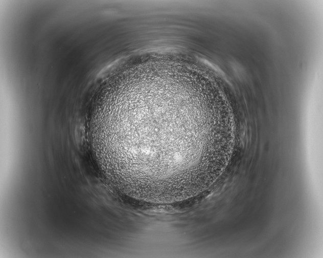 X0000085780966200703161202