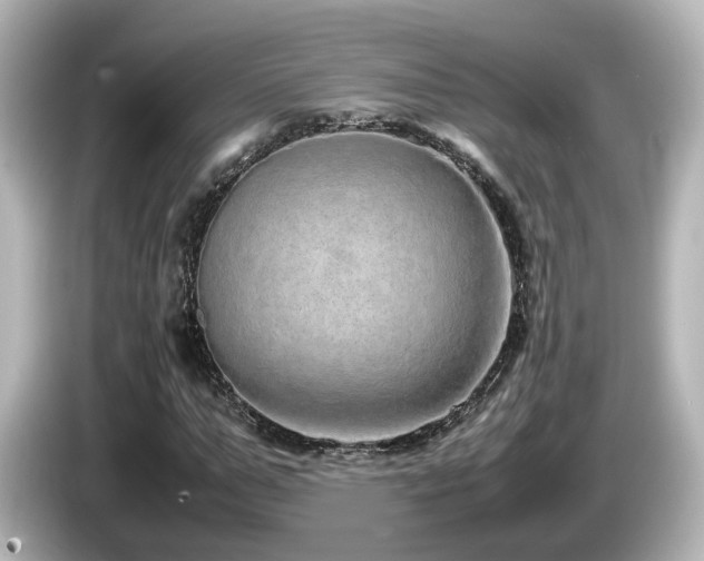 X0000085780967200703161202