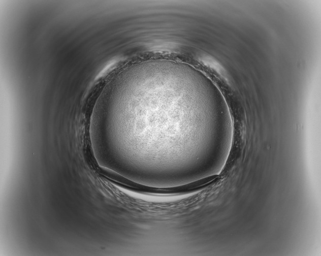 X0000085780968200703161202