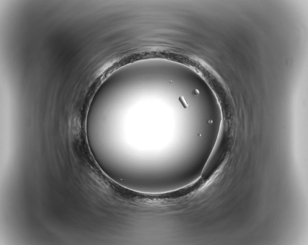 X0000085780969200703161202