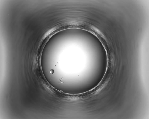 X0000085780970200703161202