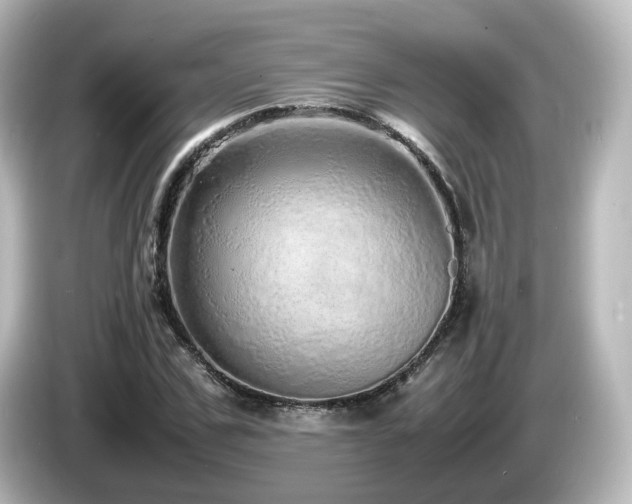 X0000085780971200703161202