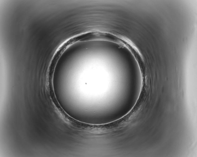 X0000085780972200703161202