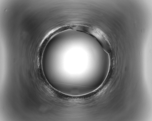 X0000085780973200703161202