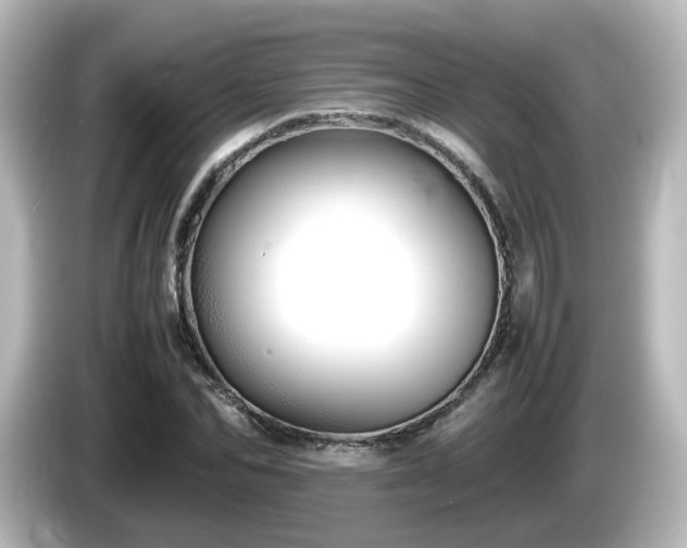 X0000085780974200703161202